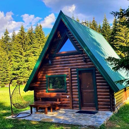 Вилла Rajska Suma Жабляк Экстерьер фото