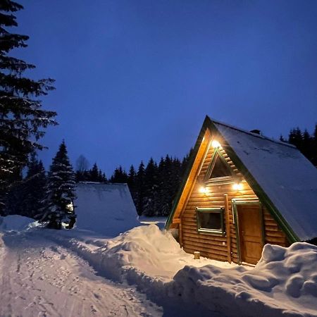 Вилла Rajska Suma Жабляк Экстерьер фото