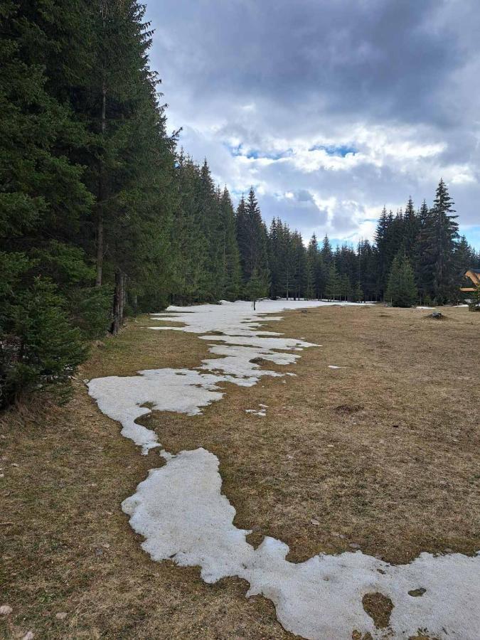 Вилла Rajska Suma Жабляк Экстерьер фото
